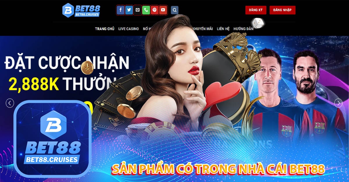 Sản Phẩm Có Trong Nhà Cái